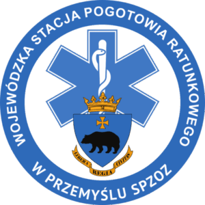 LOGO WSPR w Przemyślu_trans